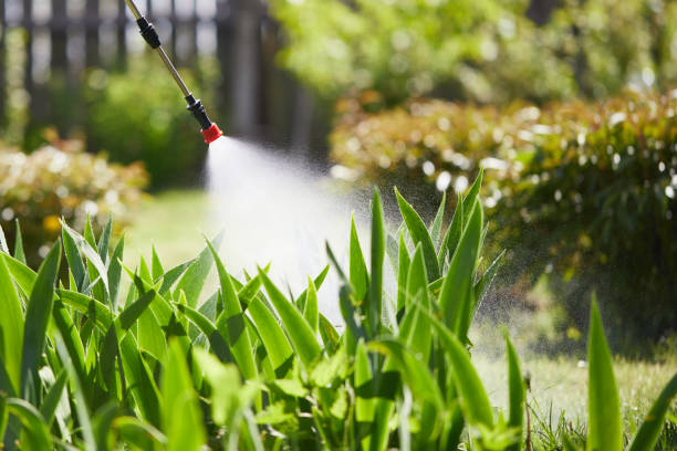 24/7 Emergency Fumigation Services experts in Estacada, OR
