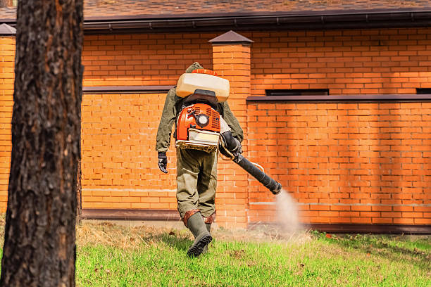 Trusted Ant Control service in Estacada, OR - Nex Pest Control
